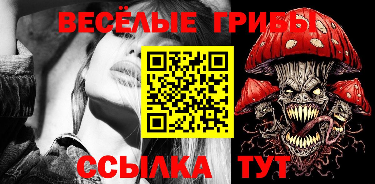 Лыткарино  Псилоцибиновые грибы Psilocybine cubensis  Вход с VPN 